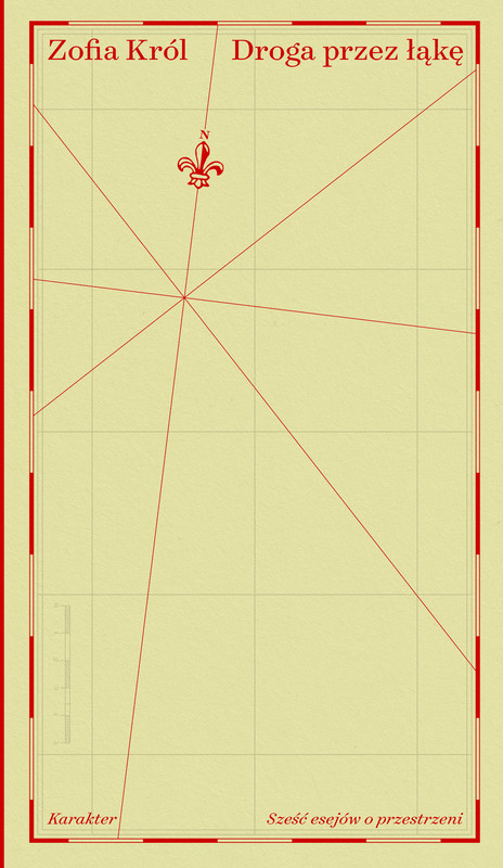 okładka Droga przez łąkę ebook | epub, mobi | Zofia Król