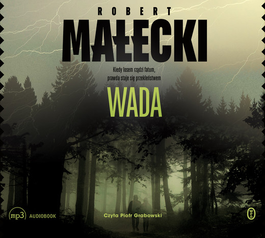 okładka Wada audiobook | MP3 | Robert Małecki