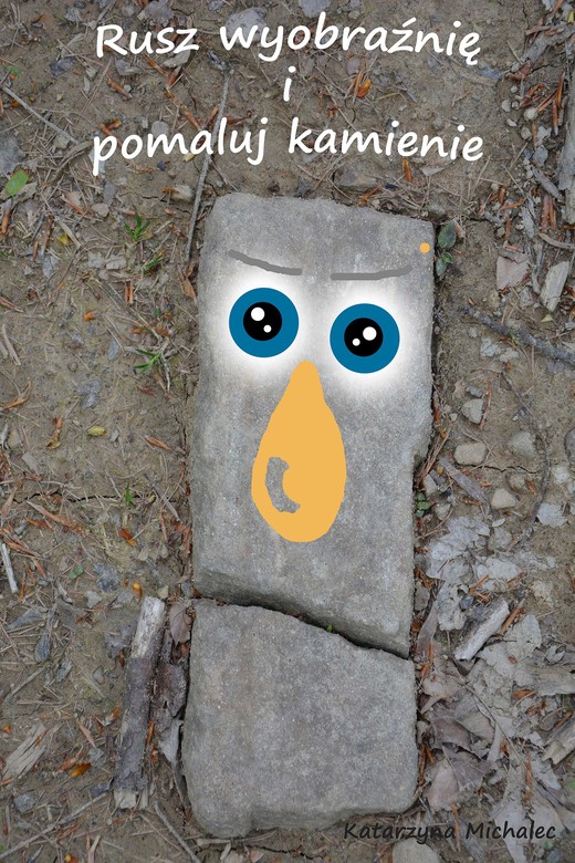 okładka Rusz wyobraźnię i pomaluj kamienie ebook | pdf | Katarzyna Michalec