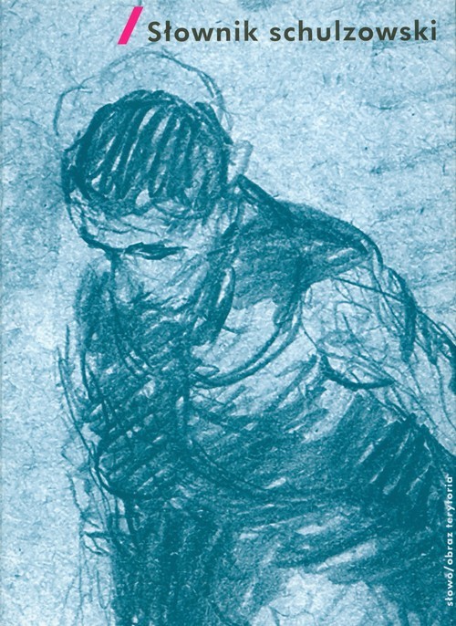 okładka Słownik schulzowski książka
