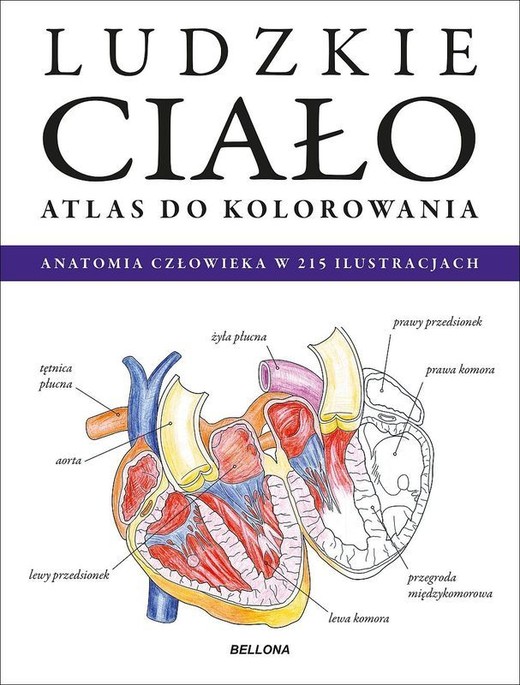 okładka Ludzkie ciało. Atlas do kolorowania książka