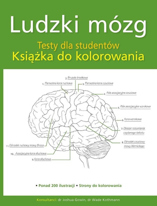 okładka Ludzki mózg. Testy dla studentów. Książka do kolorowania książka