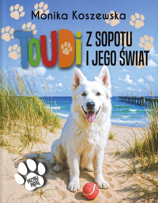 okładka Toudi z Sopotu i jego świat wyd. 2 książka | Monika Koszewska