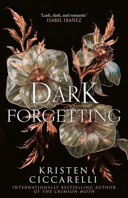 okładka A Dark Forgetting książka | Kristen Ciccarelli