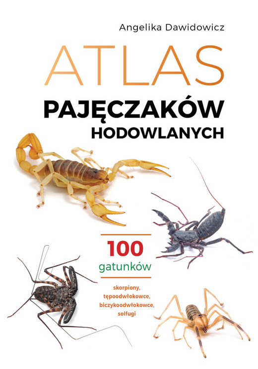 okładka Atlas pajęczaków hodowlanych. 100 gatunków książka | Angelika Dawidowicz