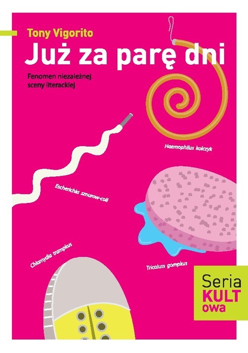 okładka Już za parę dni Fenomen niezależnej sceny literackiej książka | Vigorito Tony