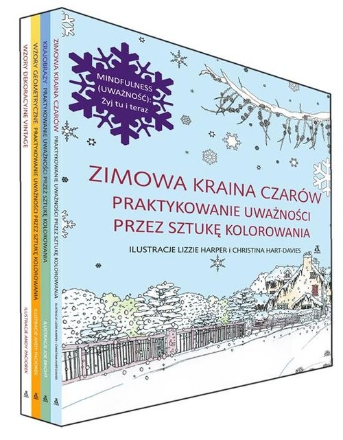okładka Zimowa kraina czarów / Krajobrazy / Wzory geometryczne /Wzory dekoracyjne vintage Pakiet książka
