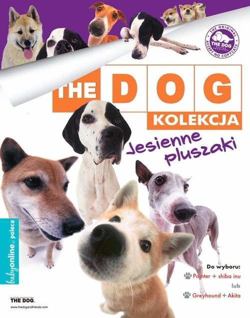 okładka The DOG The Dog Jesienne pluszaki książka