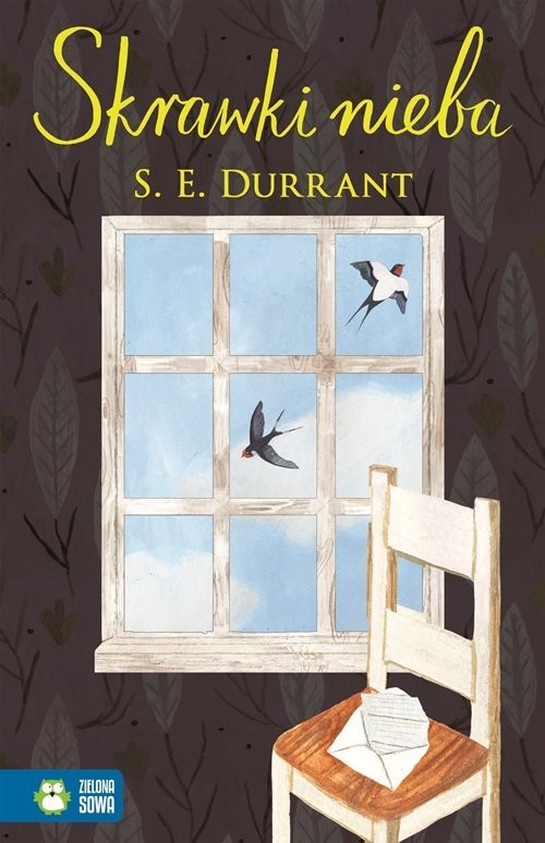 okładka Skrawki nieba książka | Durrant S.E.