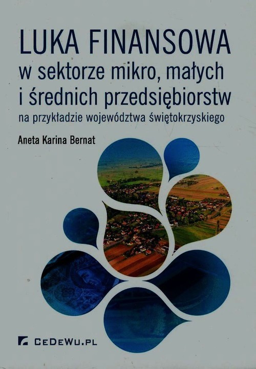 okładka Luka finansowa w sektorze mikro, małych i średnich przedsiębiorstw na przykładzie województwa świętokrzyskiego książka | Bernat AnetaKarina