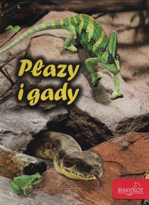 okładka Płazy i gady książka