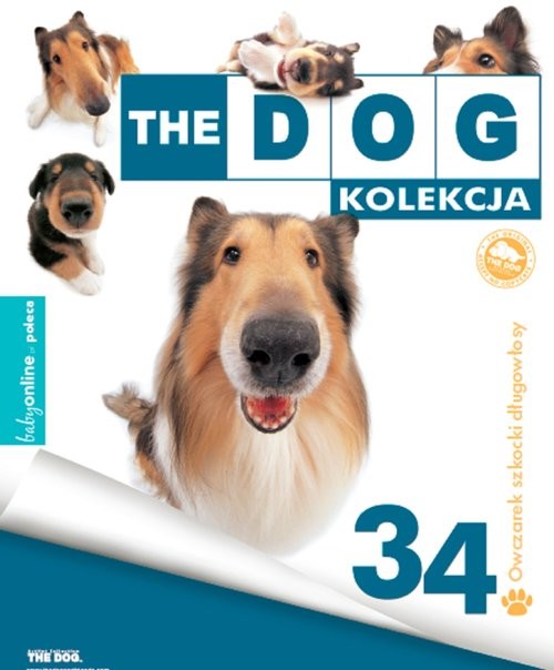 okładka The Dog Owczarek Szkocki Długowłosy książka