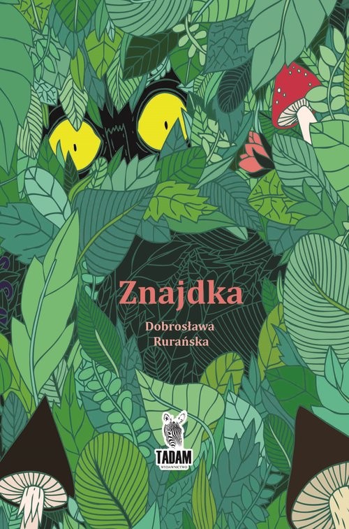 okładka Znajdka książka | Dobrosława Rurańska