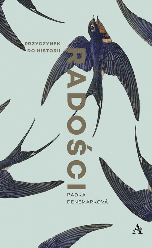 okładka Przyczynek do historii radości książka | Denemarková Radka