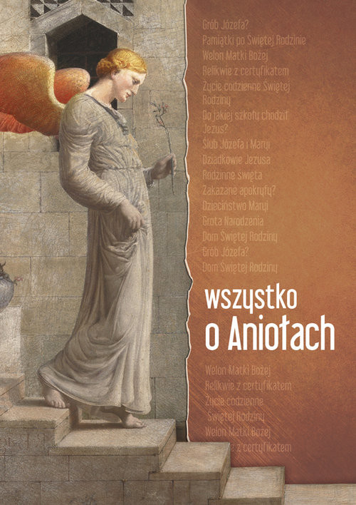 okładka Wszystko o aniołach książka | Urszula Wrońska