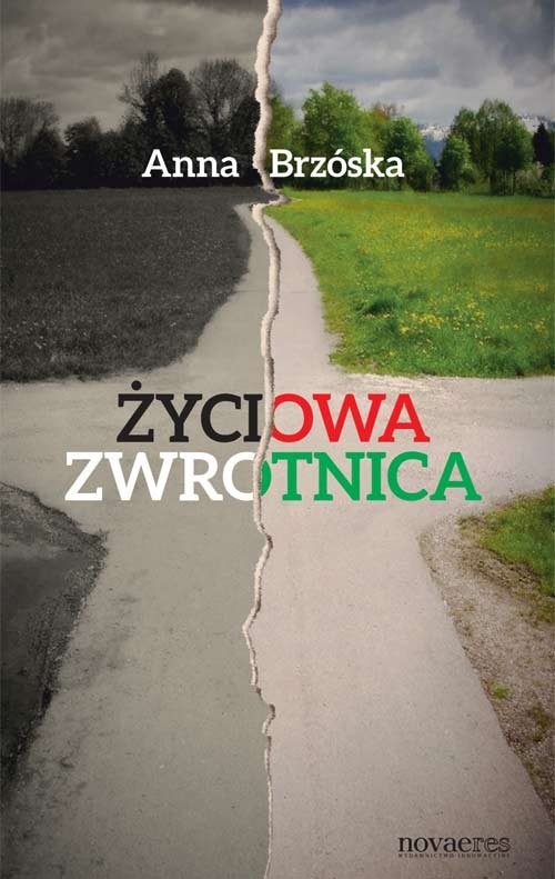 okładka Życiowa zwrotnica książka | Anna Brzóska