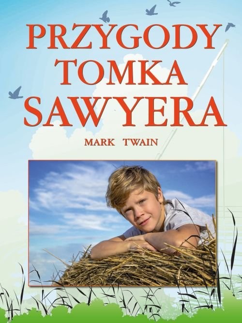 okładka Przygody Tomka Sawyera książka | Mark Twain