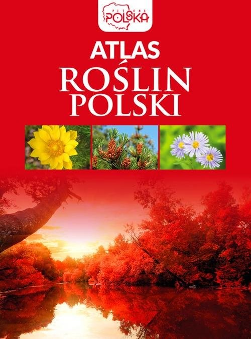 okładka Atlas roślin Polski książka | Opracowanie zbiorowe