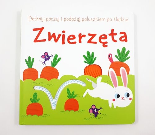 okładka Dotknij, poczuj i podążaj po śladzie II Zwierzęta książka | Praca Zbiorowa