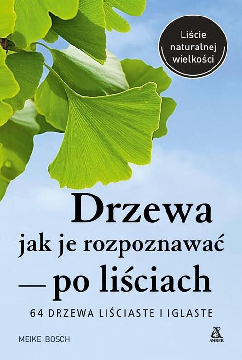 okładka Drzewa - jak je rozpoznawać po liściach książka | Meike Bosch