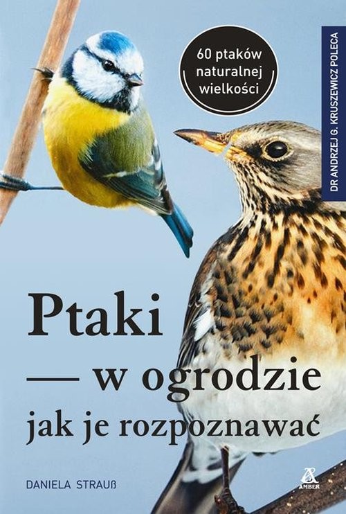 okładka Ptaki w ogrodzie - jak je rozpoznawać książka | Daniela Strauss