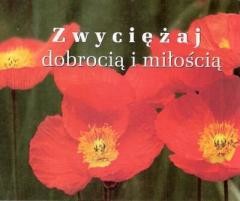 okładka Perełka 193 - Zwyciężaj dobrocią i miłością. książka