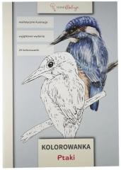 okładka Kolorowanka Ptaki książka
