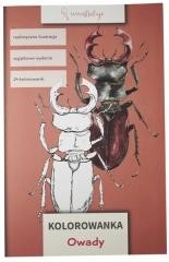 okładka Kolorowanka Owady książka