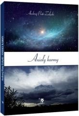 okładka Anioły karmy książka | Załęski AndrzejPiotr