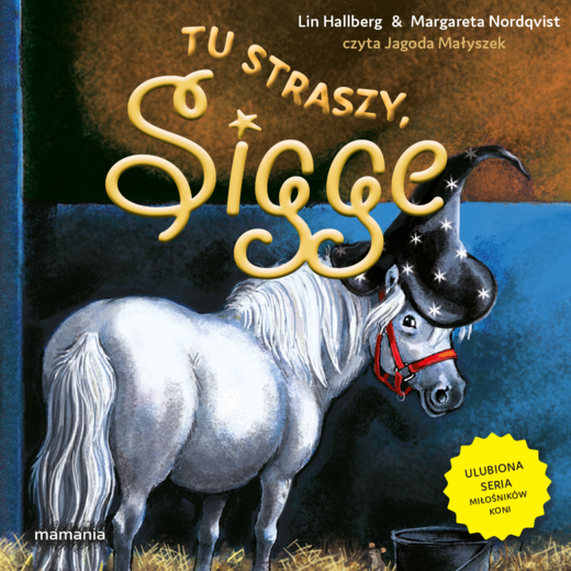 okładka Sigge. Tom 8. Tu straszy, Sigge audiobook | MP3 | Lin Hallberg, Margareta Nordqvist