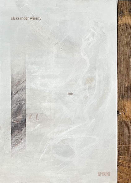 okładka Nie książka | Aleksander Wierny