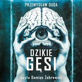 okładka Dzikie gęsi audiobook | MP3 | Duda Przemysław