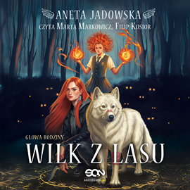 okładka Wilk z lasu. Głowa rodziny. Tom 1 audiobook | MP3 | Aneta Jadowska