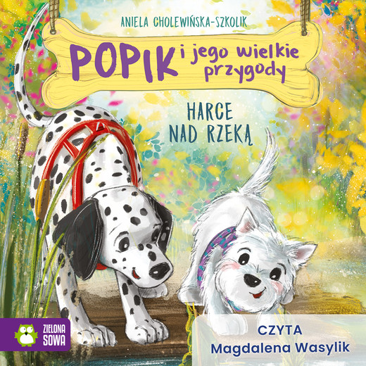 okładka Popik i jego wielkie przygody. Harce nad rzeką audiobook | MP3 | Aniela Cholewińska-Szkolik