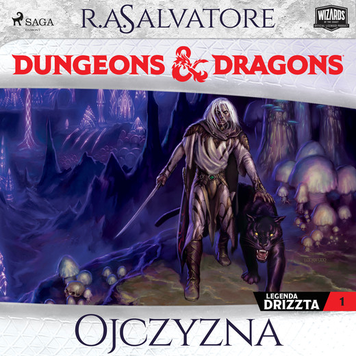 okładka Dungeons&Dragons. Legenda Drizzta. Tom 1: Ojczyzna audiobook | MP3 | R.A. Salvatore