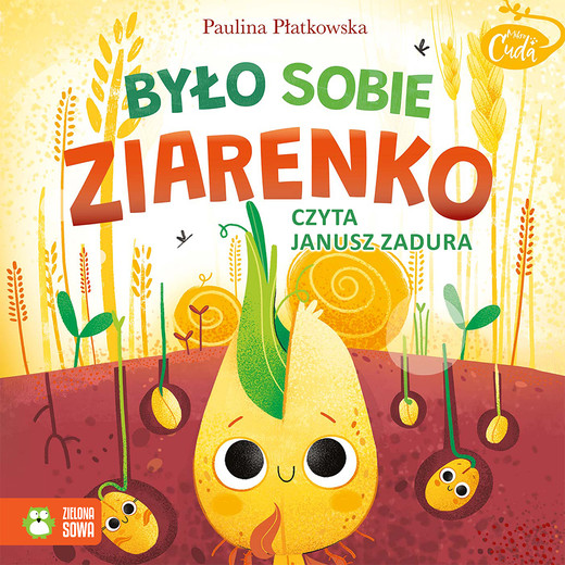 okładka Mikrocuda. Było sobie ziarenko audiobook | MP3 | Paulina Płatkowska