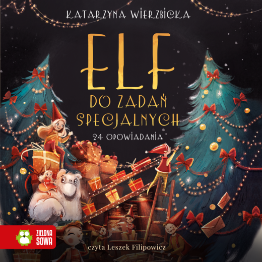 okładka Elf do zadań specjalnych audiobook | MP3 | Katarzyna Wierzbicka