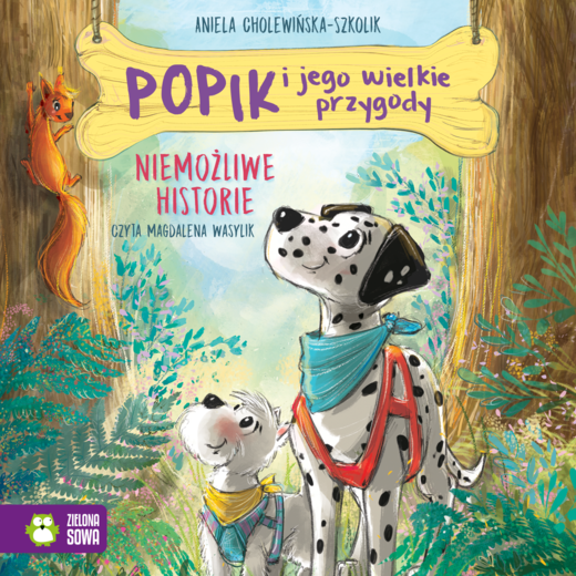 okładka Popik i jego wielkie przygody. Niemożliwe historie audiobook | MP3 | Aniela Cholewińska-Szkolik