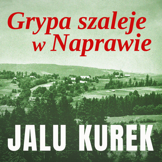 okładka Grypa szaleje w Naprawie audiobook | MP3 | Jalu Kurek