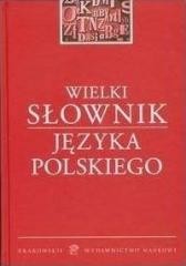 okładka Wielki słownik języka polskiego książka | Praca Zbiorowa