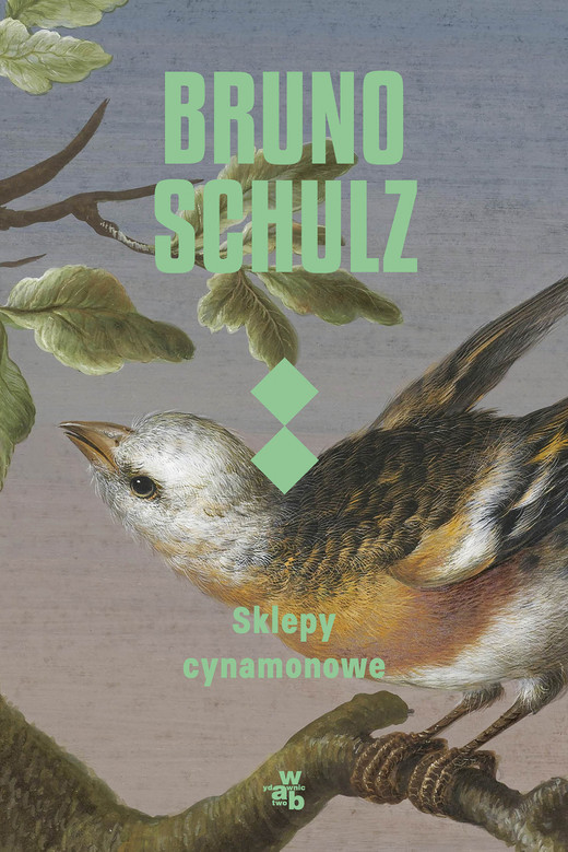 okładka Sklepy cynamonowe książka | Bruno Schulz