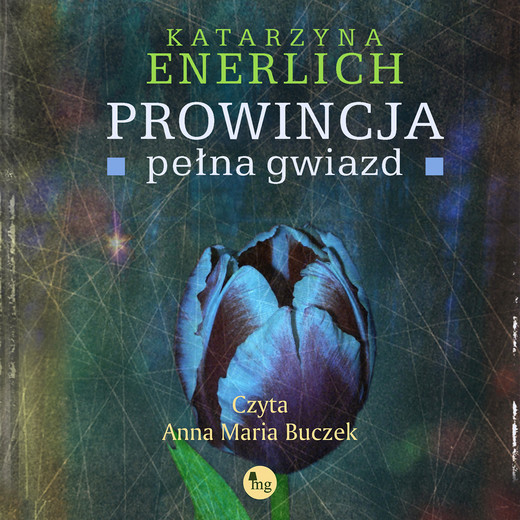 okładka Prowincja pełna gwiazd audiobook | MP3 | Emily Brontë