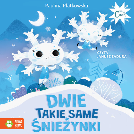 okładka Dwie takie same śnieżynki audiobook | MP3 | Paulina Płatkowska