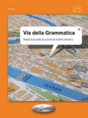 okładka Via della grammatica książka | Ricci Giacomina