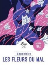 okładka Fleurs du mal książka | Charles Baudelaire