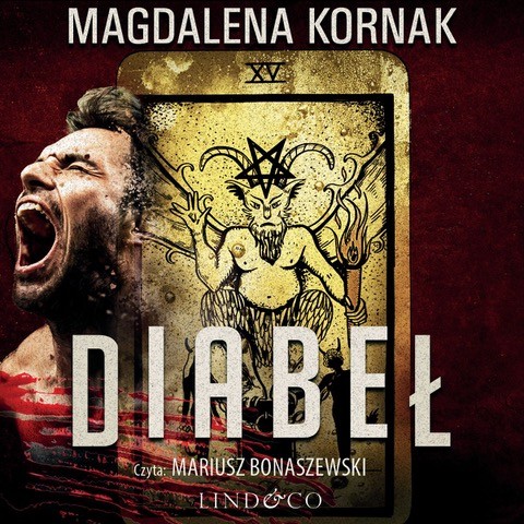 okładka Diabeł. Tom 3. Karty Tarota audiobook | MP3 | Magdalena Kornak