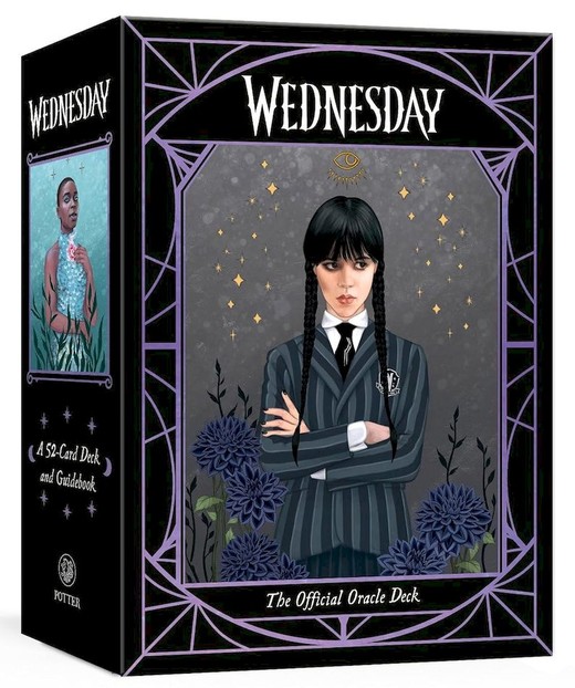 okładka Wednesday książka | Amy Chase, MGM Studios