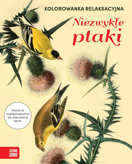 okładka Niezwykłe ptaki. Kolorowanka relaksacyjna książka | Opracowanie zbiorowe