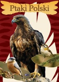 okładka Ptaki Polski książka | Opracowanie zbiorowe