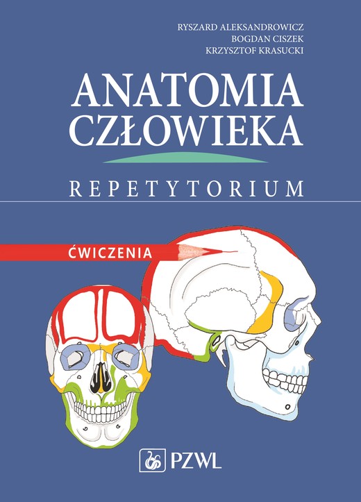 okładka Anatomia człowieka repetytorium ćwiczenia książka | Krzysztof Krasucki